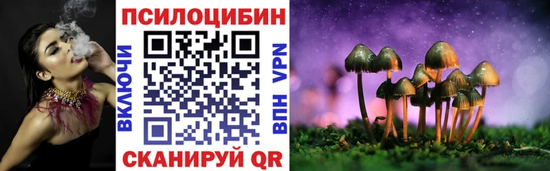 Галлюциногенные грибы Magic Shrooms  купить закладку  Щёлкино 
